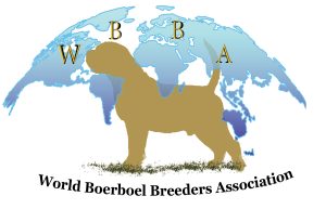 WBBA